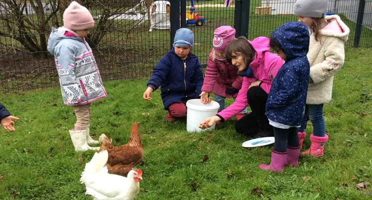 Kinder der Übergangskita Süd haben großen Spaß mit Hühnern