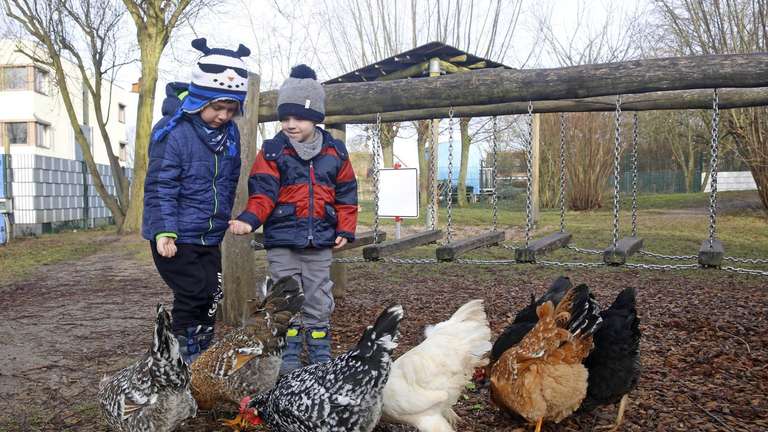 In dieser Friedberger Kita gehören Tiere zum Alltag