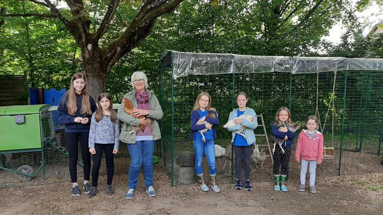 Hühnerglück in der Kita