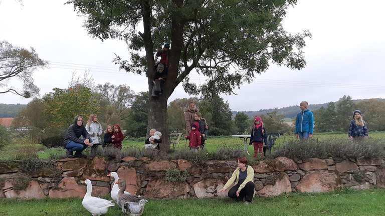 Zelten auf dem Bauernhof
